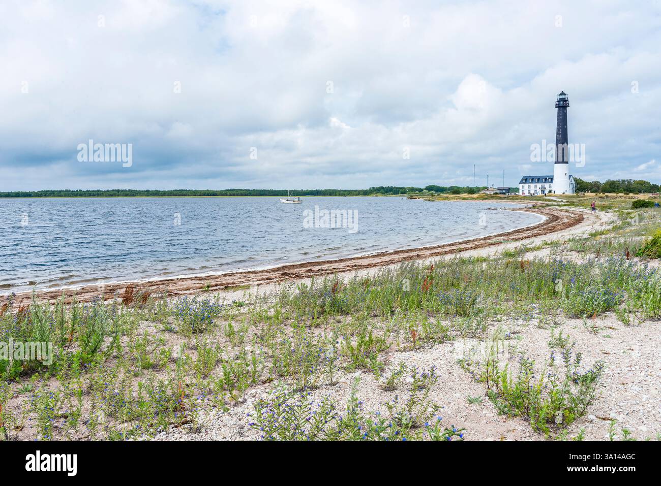 Paesaggio costiero sulla punta meridionale dell'isola di Saaremaa con il faro di Sõrve, Sääre, Estonia Foto Stock