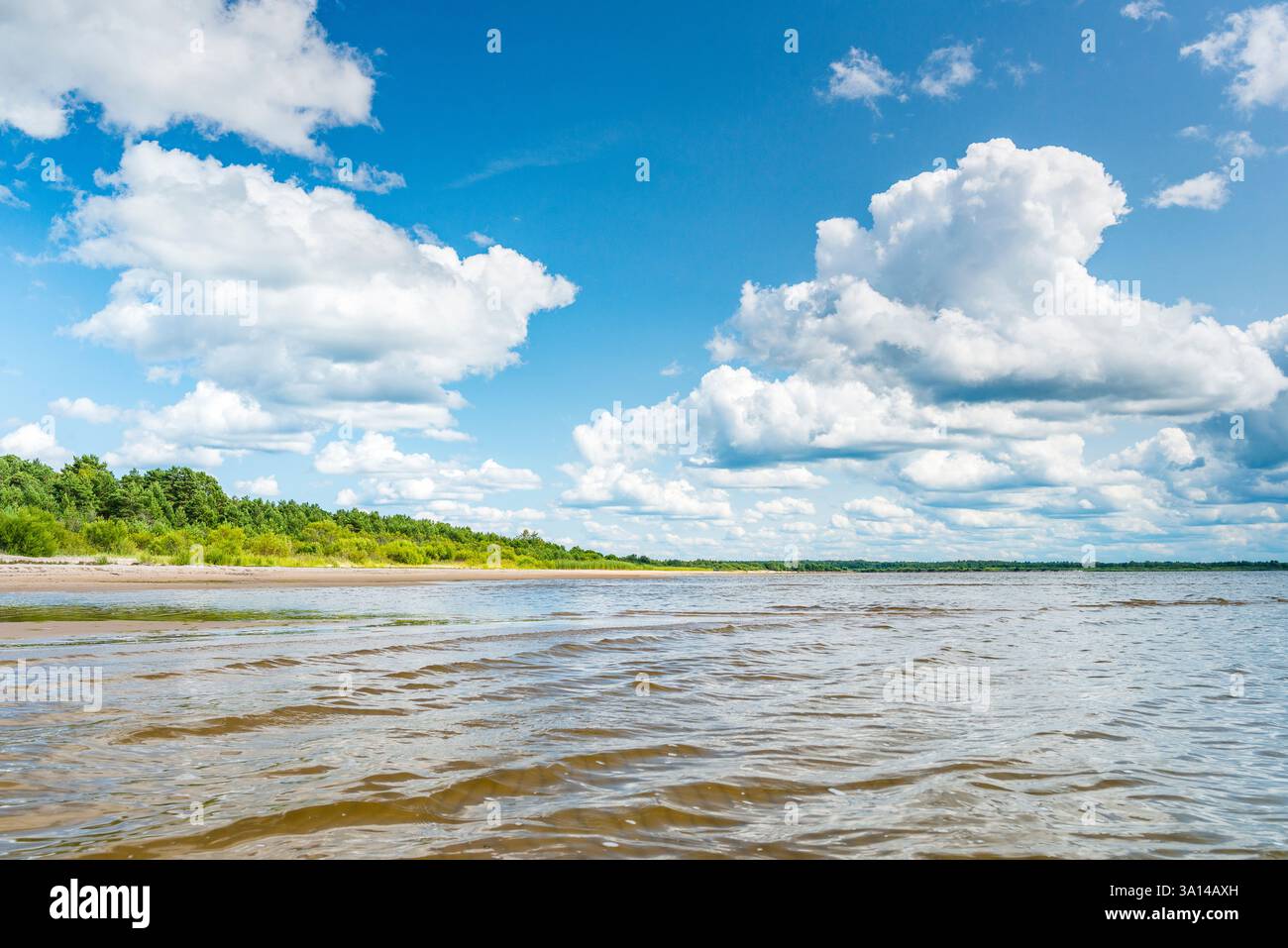 Spiaggia e litorale del lago Peipus, area protetta di Smolnitsa, Estonia Foto Stock