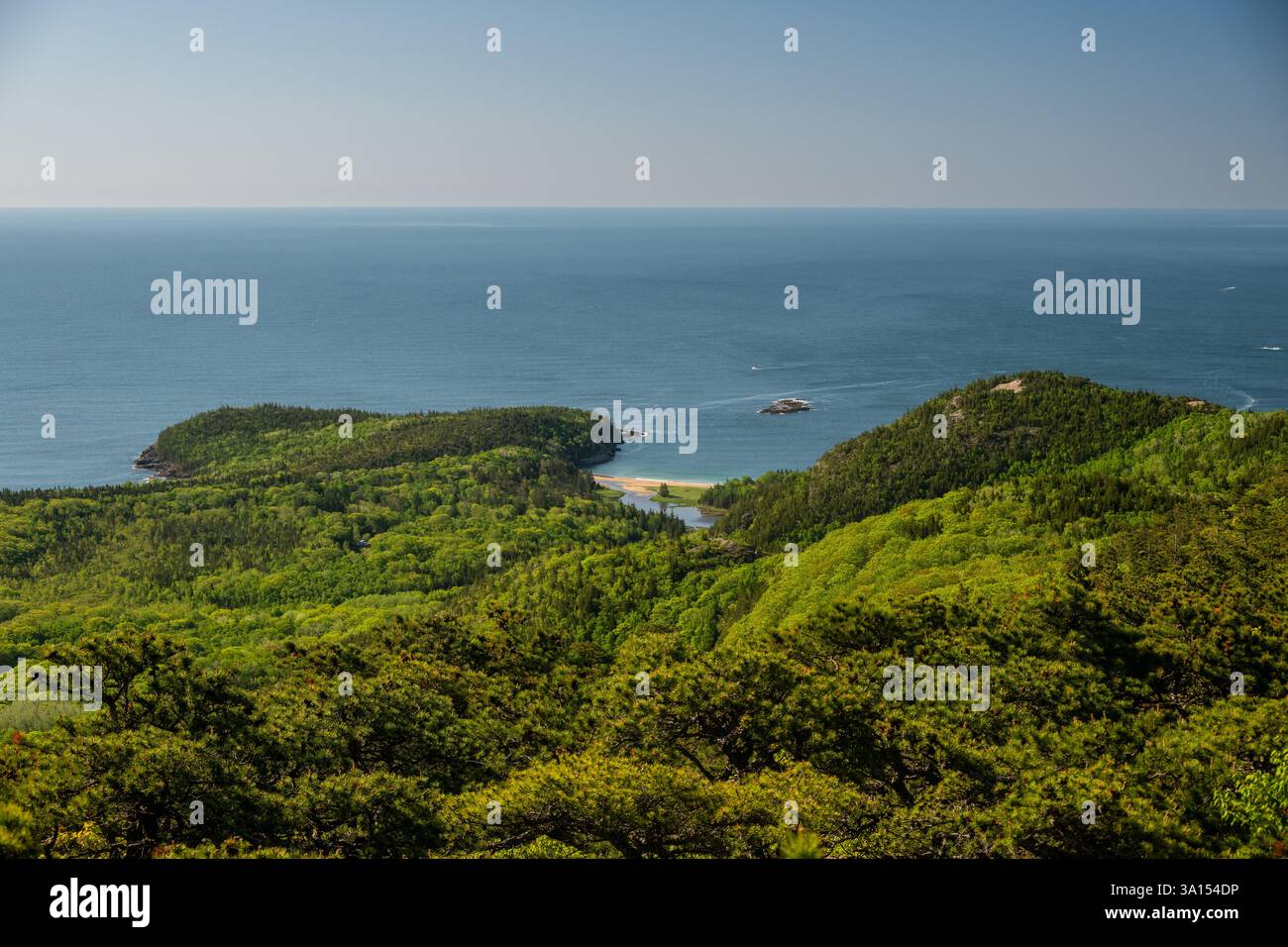 Affacciato sulle insenature lungo la costa Acadia nel Maine Foto Stock