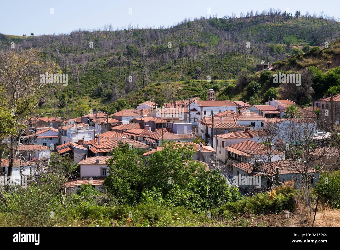 Il grazioso villaggio di Achladi nel nord di Evia, in Grecia Foto Stock