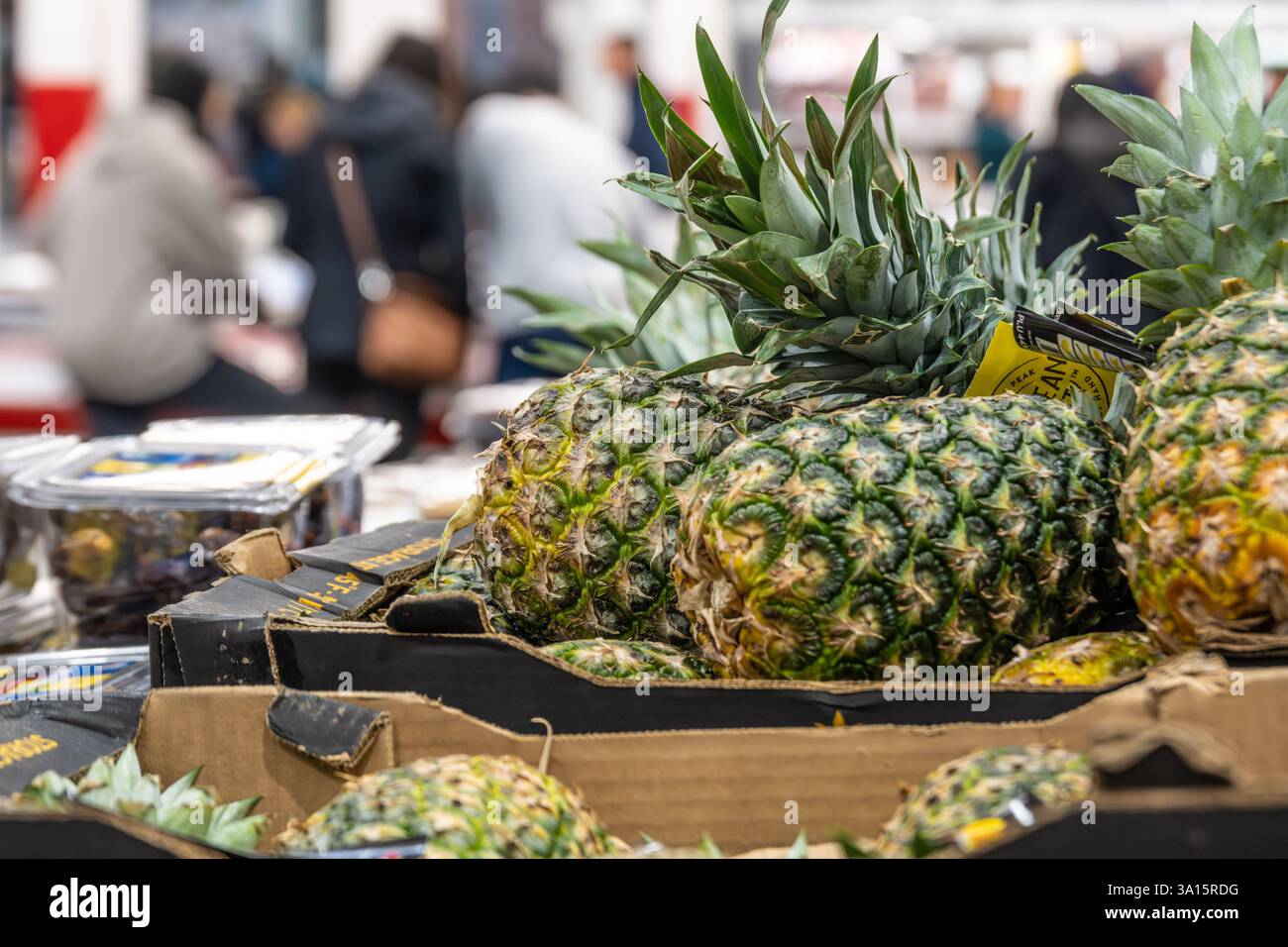 Ananas freschi nella sezione prodotti del negozio del club Costco Wholesale a Buford, Georgia. (USA) Foto Stock