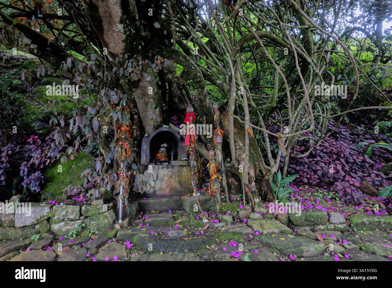 Santuario sul Pekoe Trail, Nuwara Eliya, Sri Lanka Foto Stock Santuario sul Pekoe Trail, Nuwara Eliya, Sri Lanka Foto Stock