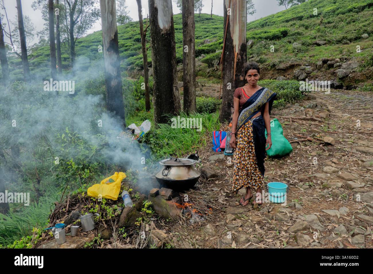 Selezionatore di tè Tamil per preparare tè, tenuta di Santa Caterina, Pekoe Trail, Ella, Sri Lanka Foto Stock