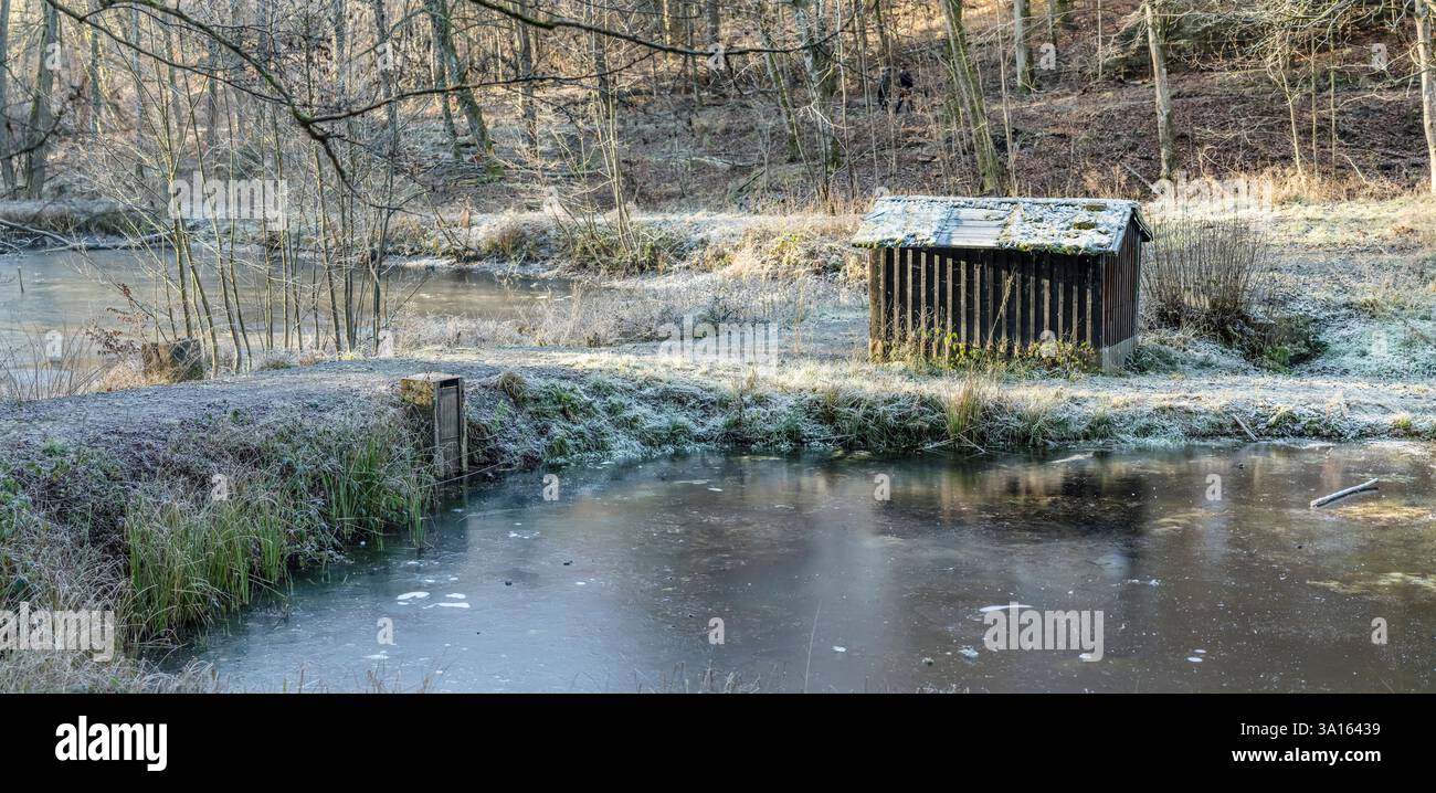 Paesaggio con baracca sulla riva di laghetto ghiacciato nella foresta invernale, girato in piena luce nel parco pubblico vicino a Stoccarda, Baden Wuttenberg, Germania Foto Stock