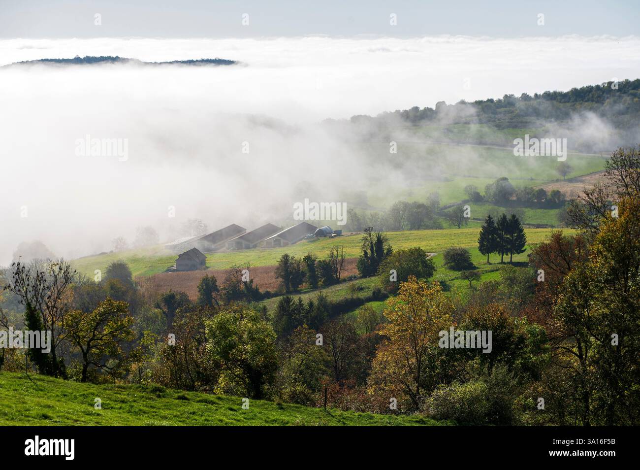 Francia, Ain, Plaine de l'Ain, Bénonces, paesaggi autunnali nei pressi della Calavaire des Portes, Foto Stock