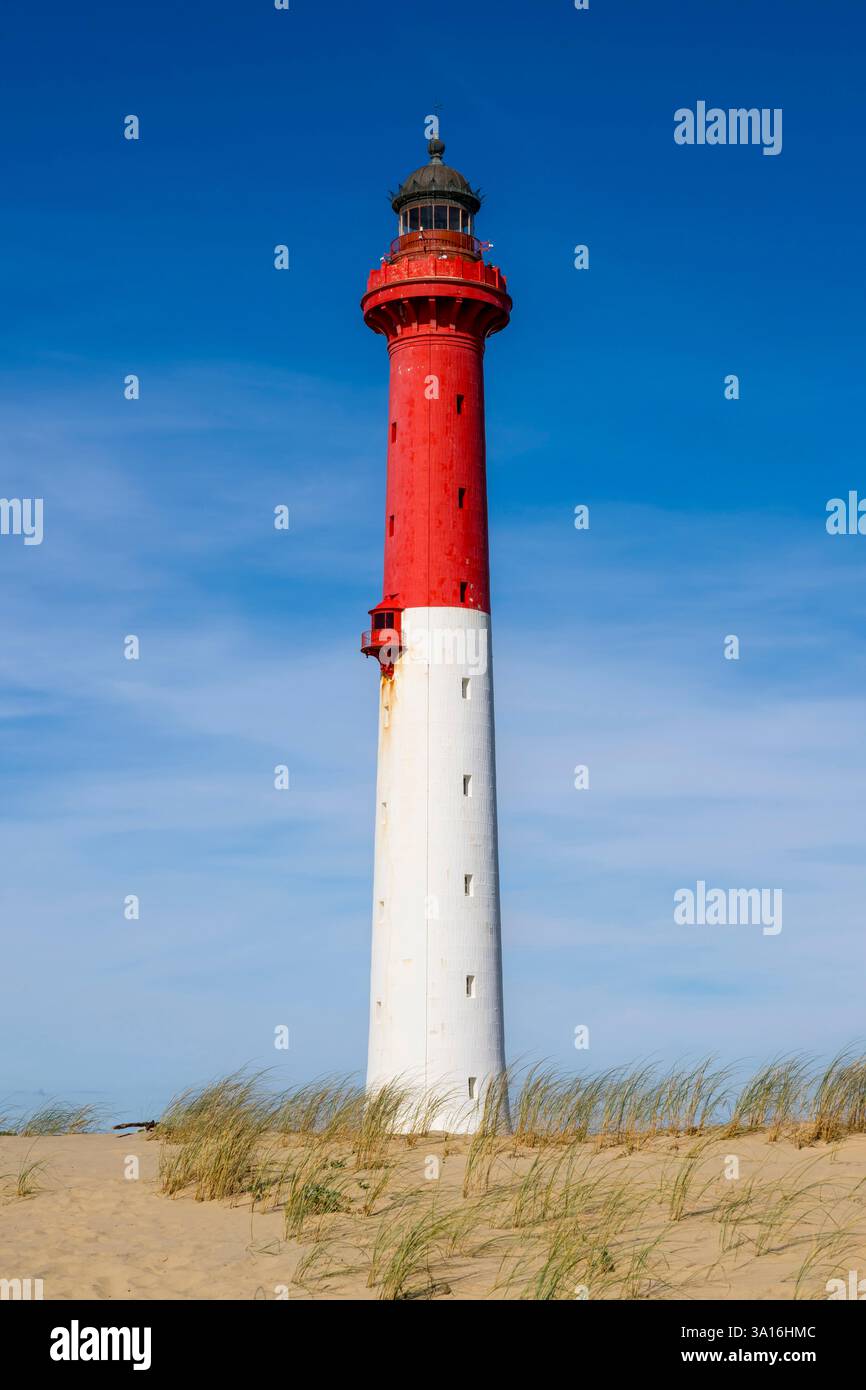 Francia, Charente-Maritime, Royan, la Tremblade, il faro di la Coubre Foto Stock