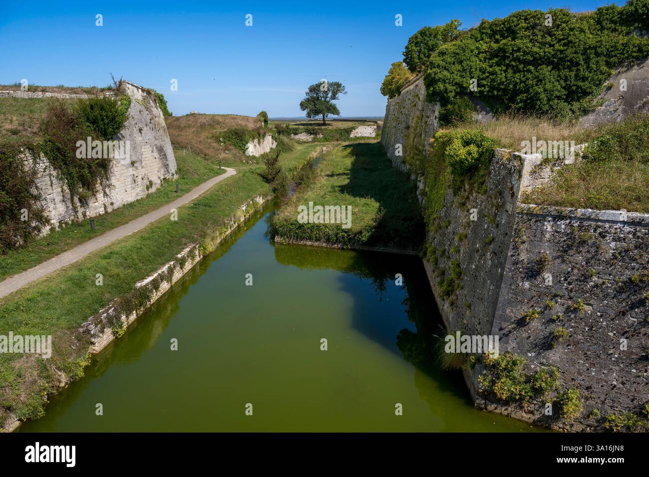 Francia, Charente Maritime, Oleron Island, le Chateau-d'Oleron, fossati che un sistema di chiuse permette di fornire acqua di mare Foto Stock