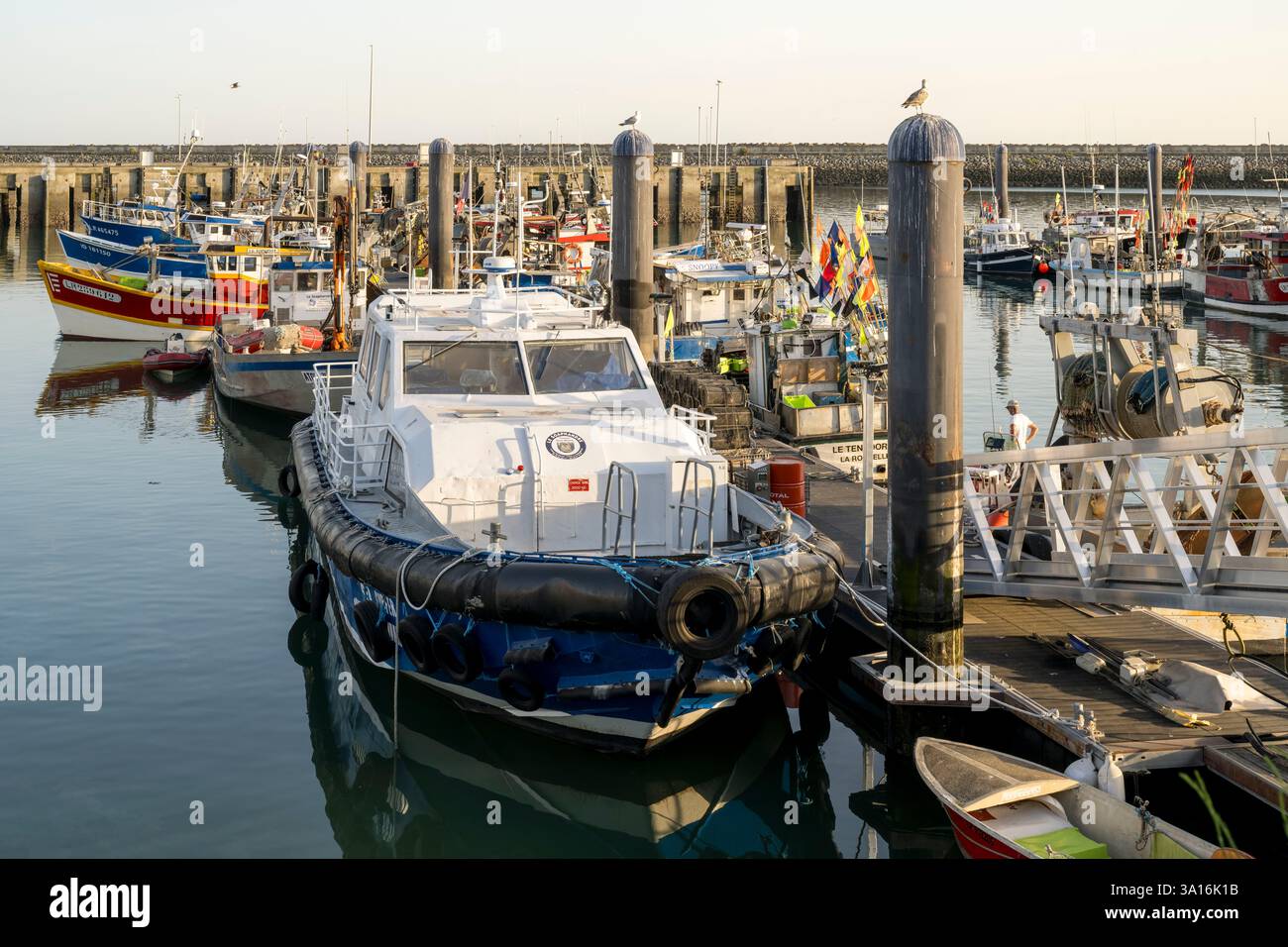 Francia, Charente Maritime, la Rochelle, porto di pescatori Chef de Baie Foto Stock