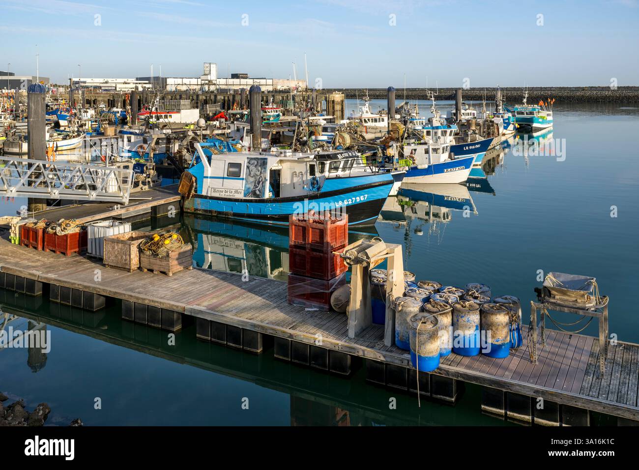 Francia, Charente Maritime, la Rochelle, porto di pesca Chef de Baie (vista aerea) Foto Stock