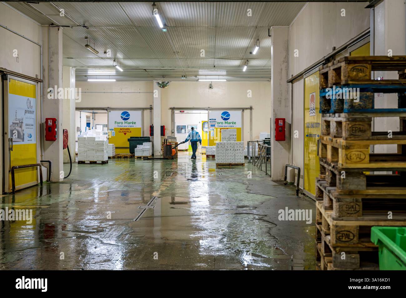 Francia, Charente Maritime, la Rochelle, il porto di pesca Chef de Baie, la sala d'asta del pesce che accoglie anche le società di commercio del pesce Foto Stock