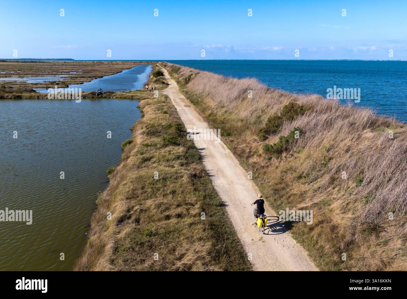 Francia, Vendee, isola di Noirmoutier, Barbatre, ciclisti sulla costa orientale della riserva naturale Sebastopol Polder (vista aerea) Foto Stock