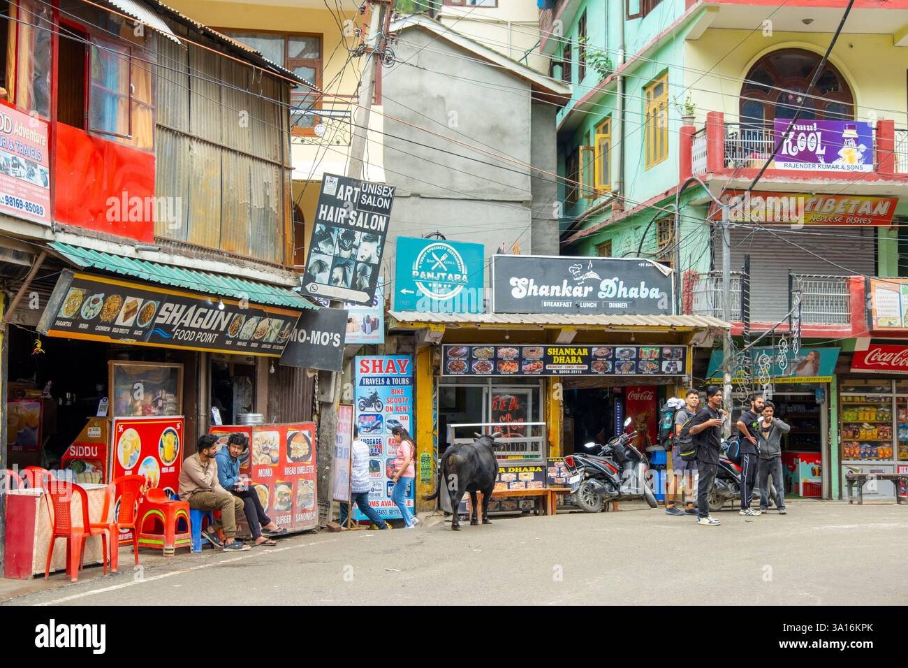 India, stato di Himachal Pradesh, Kasol, il mercato dell'artigianato Foto Stock