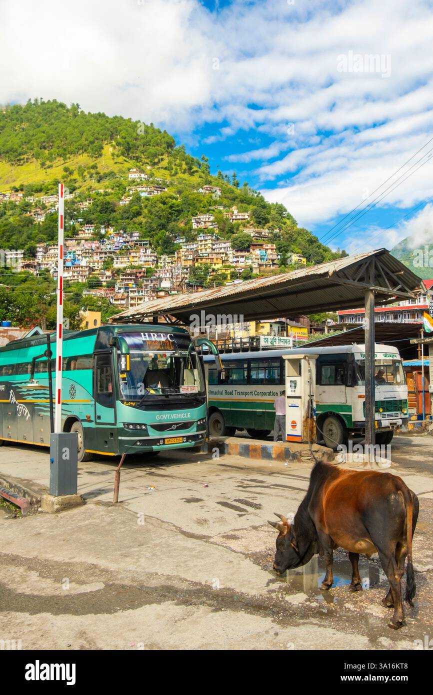 India, stato Himachal Pradesh, Mandi, terminal degli autobus Foto Stock