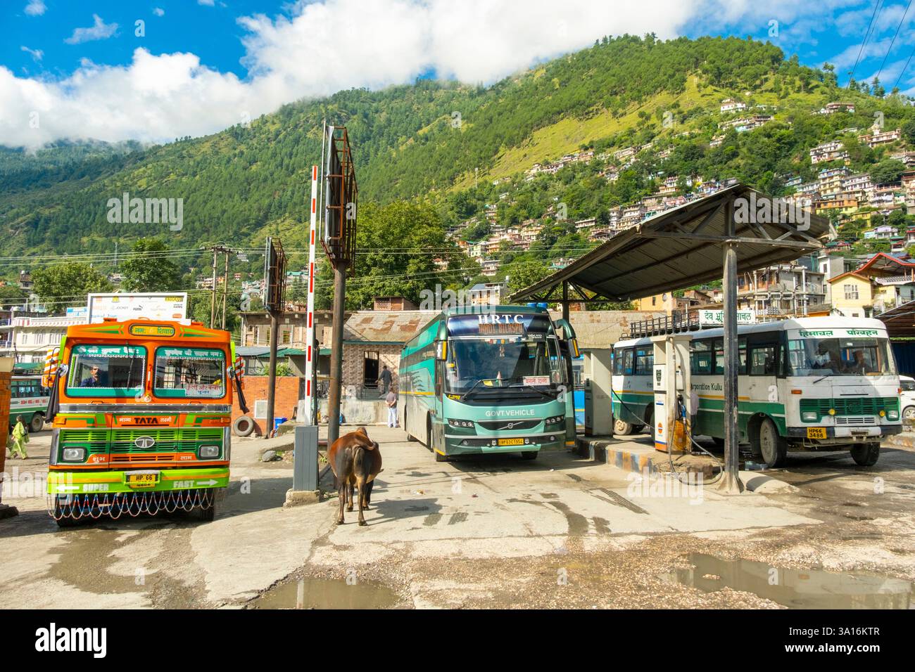 India, stato Himachal Pradesh, Mandi, terminal degli autobus Foto Stock