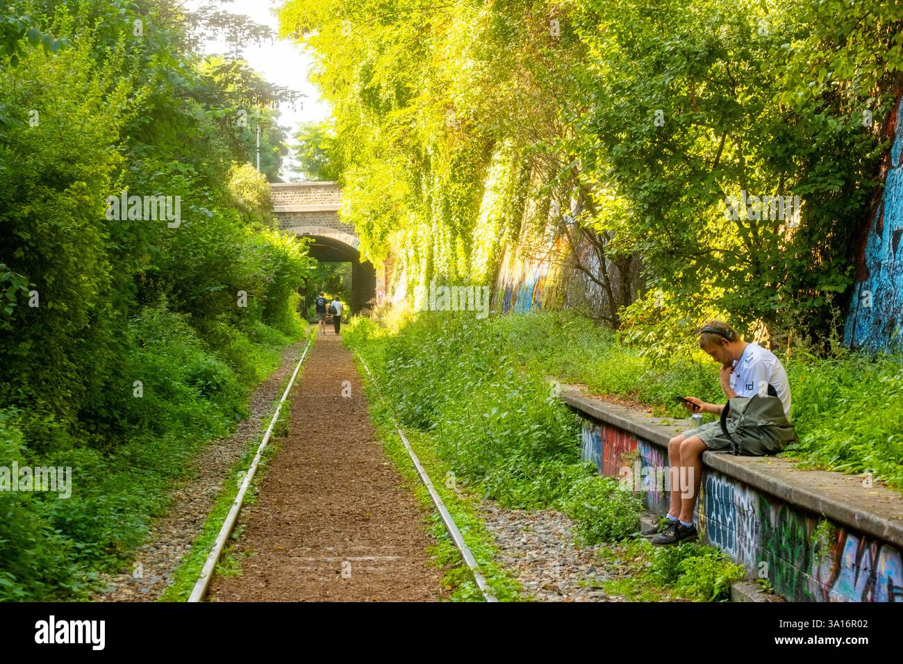 Francia, Parigi, linea ferroviaria della vecchia Petite Ceinture, che è diventata un luogo per camminare Foto Stock