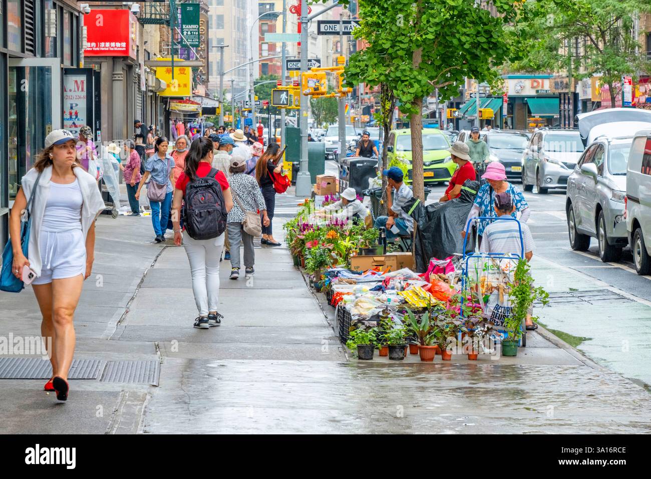 Stati Uniti, New York State, New York City, Chinatown, venditore di fiori per strada Foto Stock