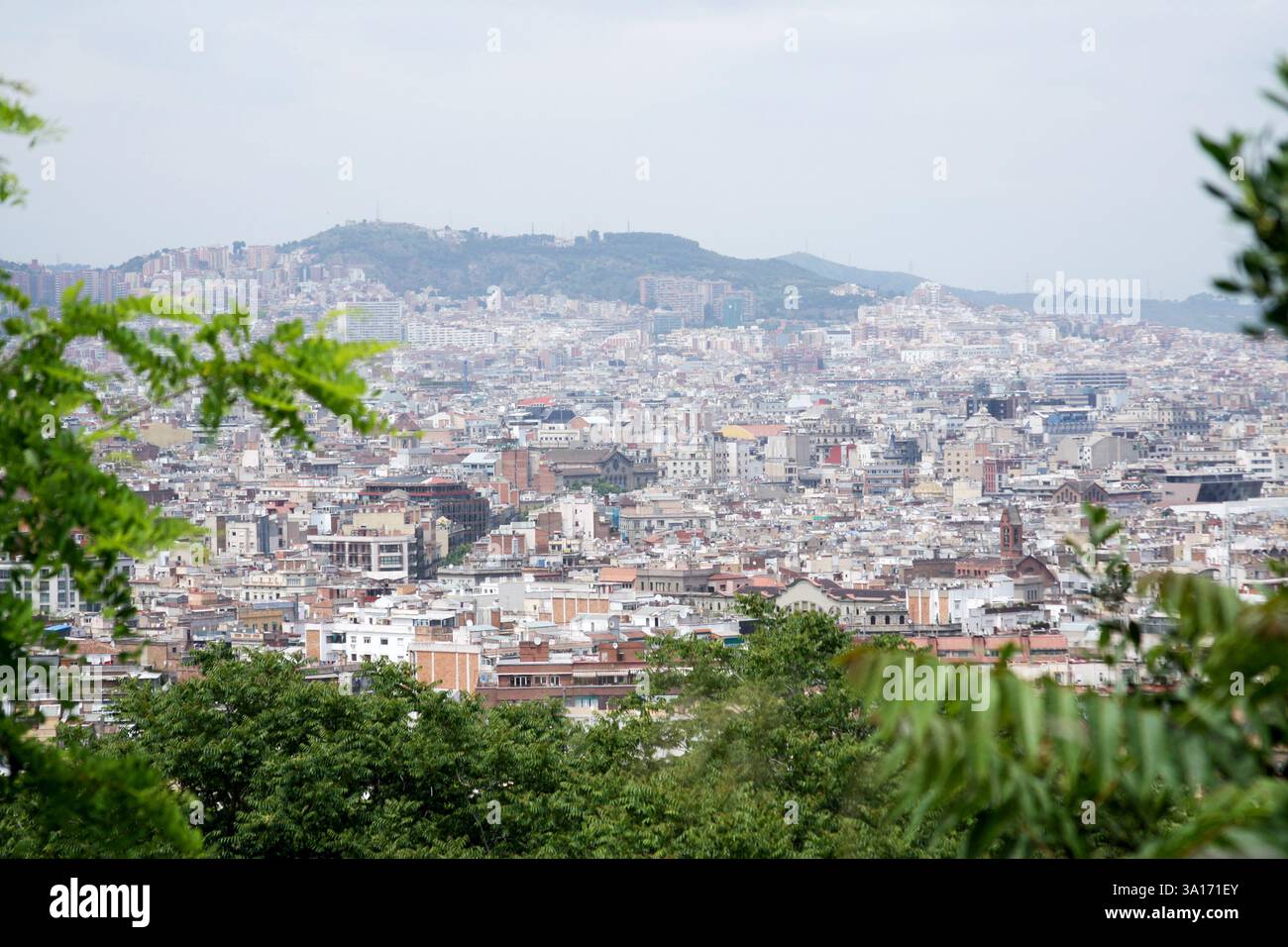 Vista sopraelevata del paesaggio urbano di Barcellona con una collina in lontananza. Paesaggio urbano, vegetazione verde in primo piano e cielo coperto Foto Stock