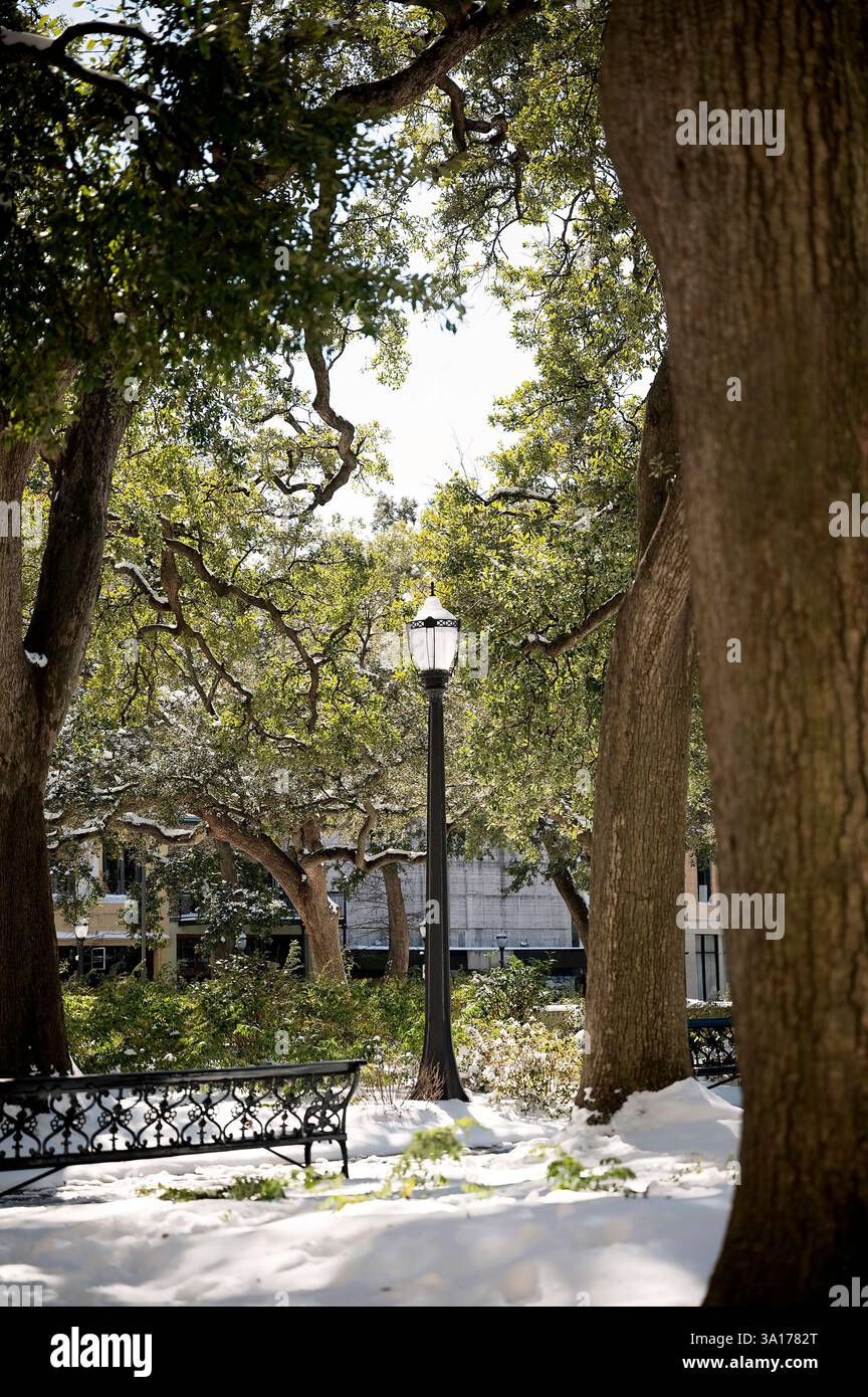 Parco innevato con alberi e lampione a Mobile, ALABAMA Foto Stock