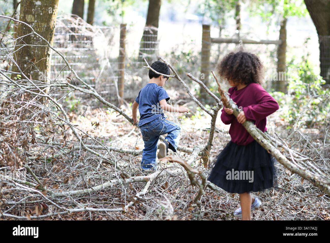 Due bambini esplorano una foresta, arrampicano e raccolgono branchi Foto Stock