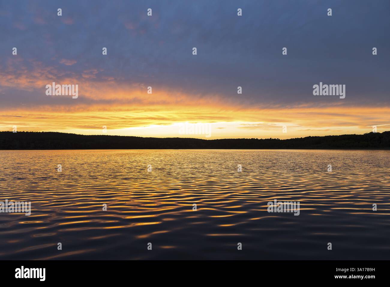 Al Grosser Glubigsee vicino a Wendisch Rietz, distretto di Oder-Spree, Brandeburgo, Germania, Europa Foto Stock