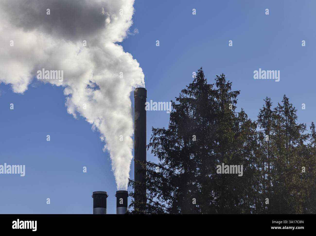 Inquinamento, industria, fumo proveniente da un camino di fabbrica vicino a una foresta di conifere, Austria, Europa Foto Stock