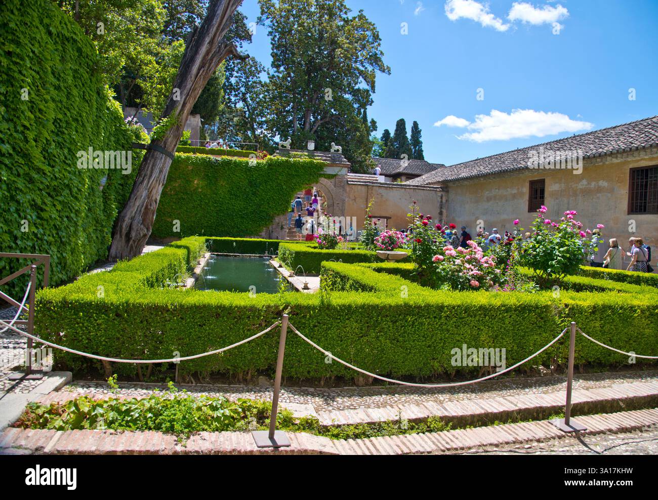 Granada, Spagna, Palazzo dell'Alhambra. Giardini Generallife, centro storico di Allbaicin, viste sulla valle, Palazzo dell'Alhambra, turisti, zingari che suonano, ballano, cantano, piscina Foto Stock