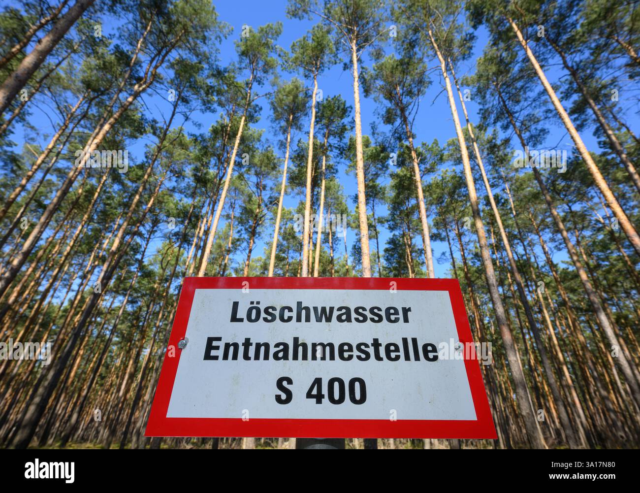 Briesen, Germania. 7 marzo 2025. Punto di estrazione dell'acqua estinguente in una pineta del dipartimento forestale di Brandeburgo. Crediti: Patrick Pleul/dpa/Alamy Live News Foto Stock