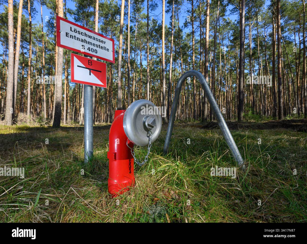 Briesen, Germania. 7 marzo 2025. Punto di estrazione dell'acqua estinguente in una pineta del dipartimento forestale di Brandeburgo. Crediti: Patrick Pleul/dpa/Alamy Live News Foto Stock
