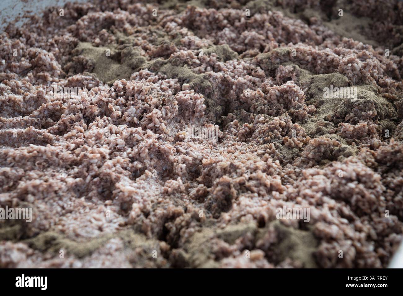 Pepe nero speziato con carne di maiale macinata per salsicce Foto Stock