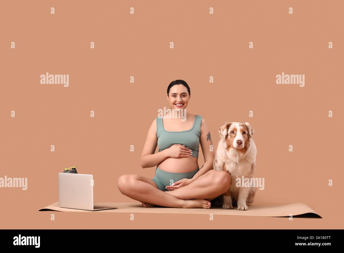 Giovane donna incinta, felice e sportiva, con laptop e simpatico cane da pastore australiano seduto sullo sfondo beige Foto Stock