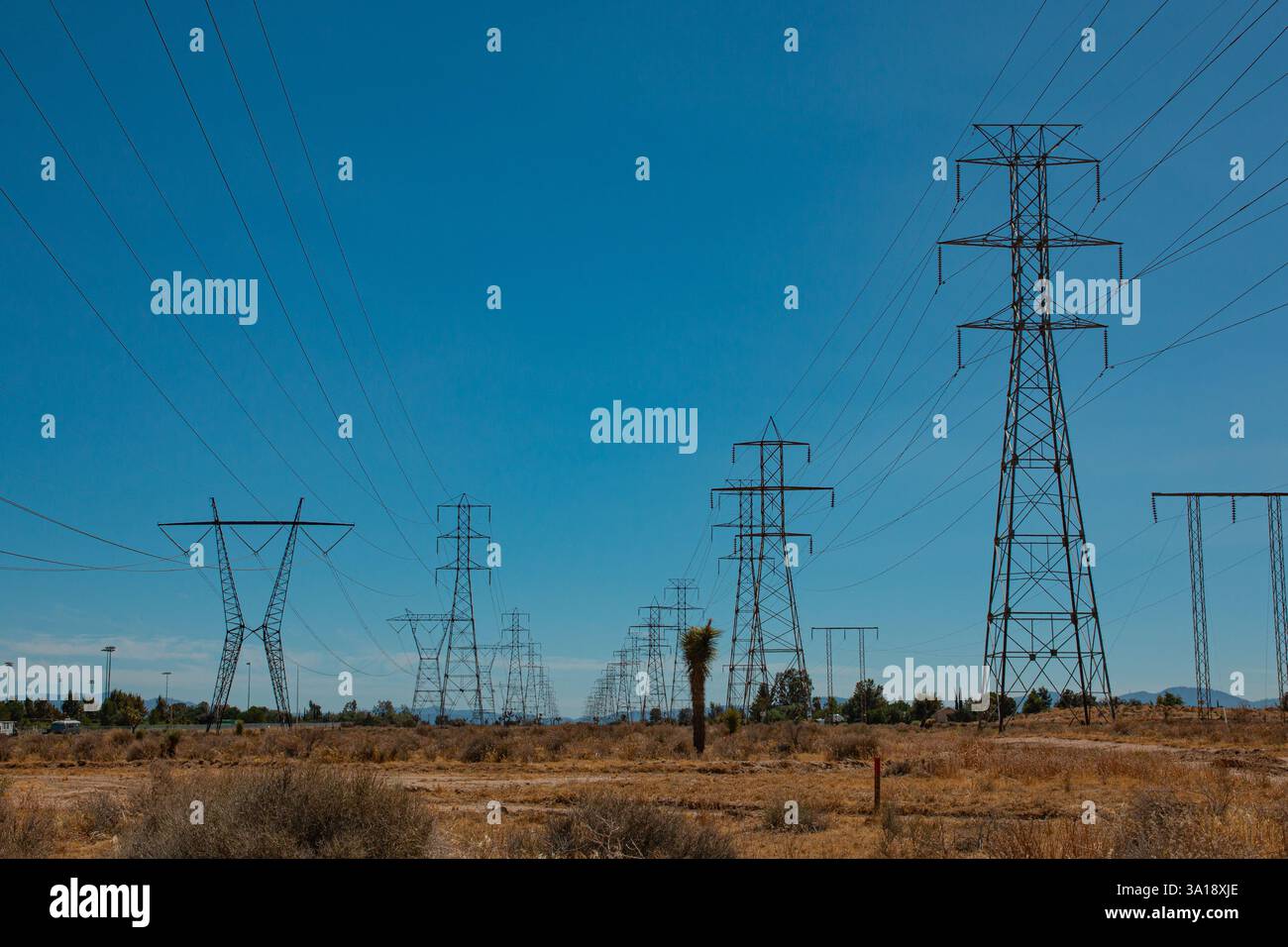 Un corridoio di scale elettriche porta elettricità attraverso il deserto. Foto Stock