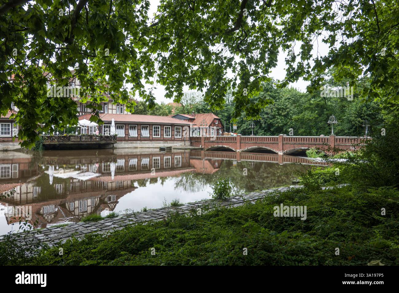 Lungo ponte alla sbarreria di Illmenau Foto Stock