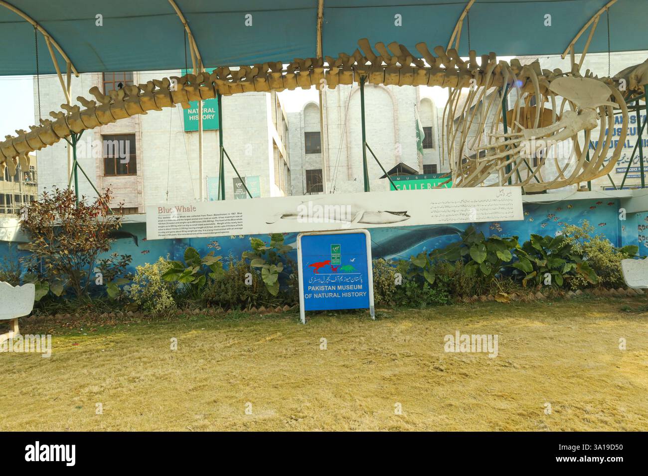 Islamabad, Pakistan - 21 gennaio 2025: Pakistan Museum of Natural History, Islamabad Foto Stock