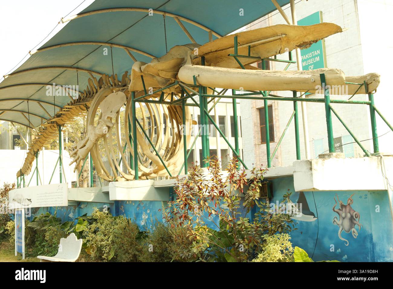 Islamabad, Pakistan - 21 gennaio 2025: Pakistan Museum of Natural History, Islamabad Foto Stock