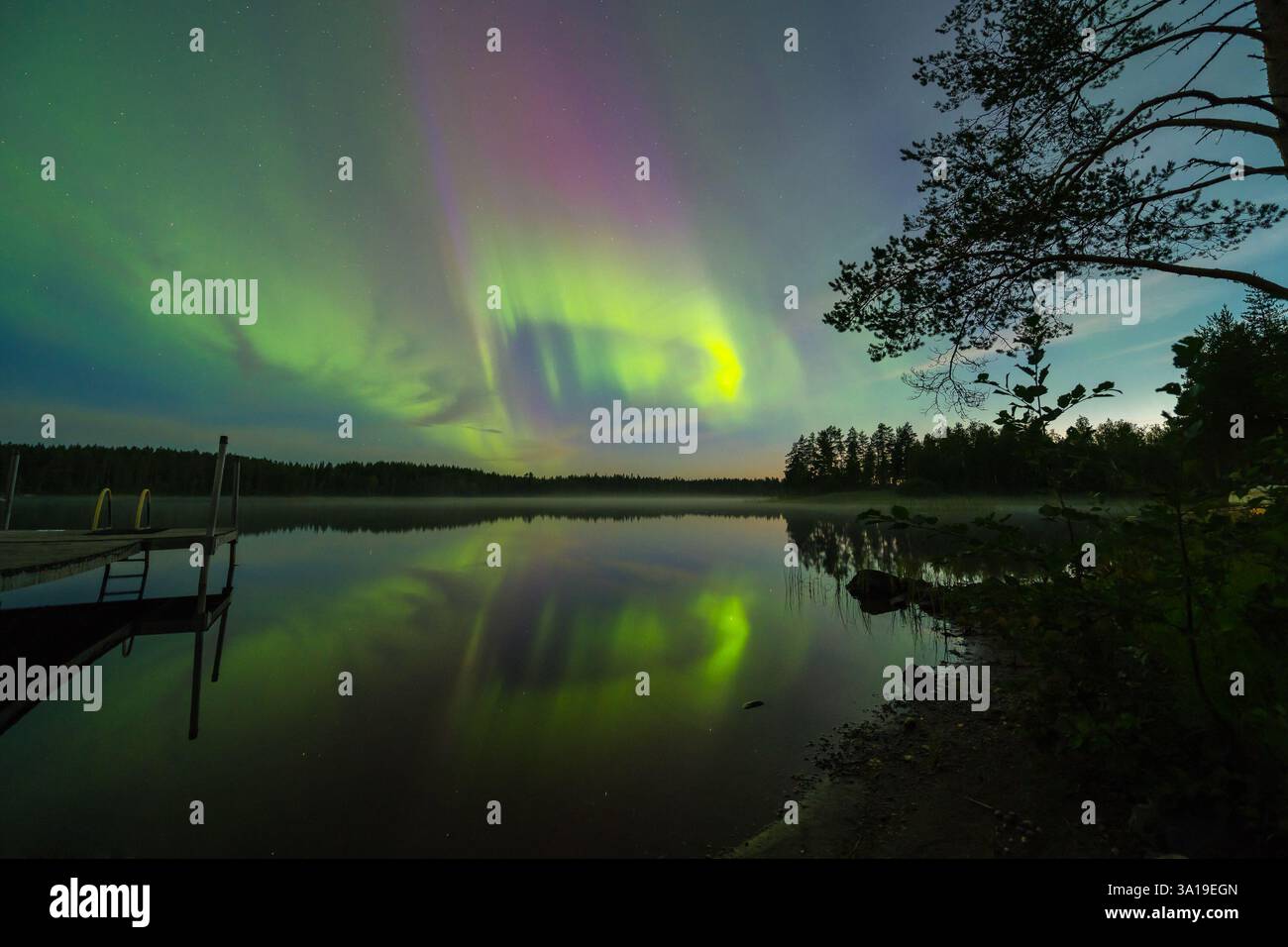 Aurora boreale ad Ahmovaara, sottoregione Joensuu, regione della Carelia settentrionale, Finlandia Foto Stock