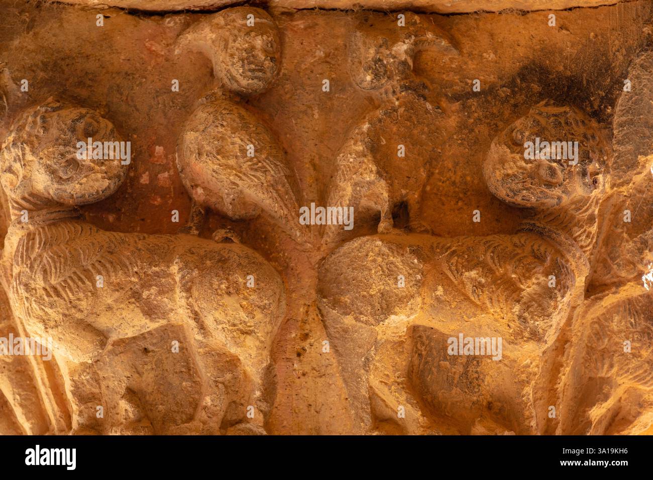 Animali fantastici con teste umane, galleria porticata, Chiesa di San Pedro Apóstol, romanico, XII secolo - Monumento storico Artistico Nazionale -, Foto Stock