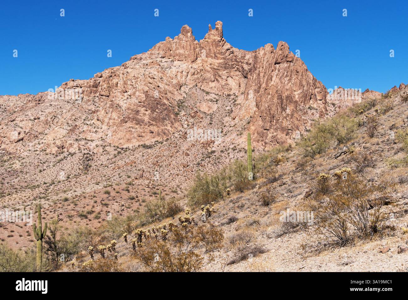 Eagletail Peak da sud nelle Eagletail Mountains Wilderness nel deserto dell'Arizona Foto Stock