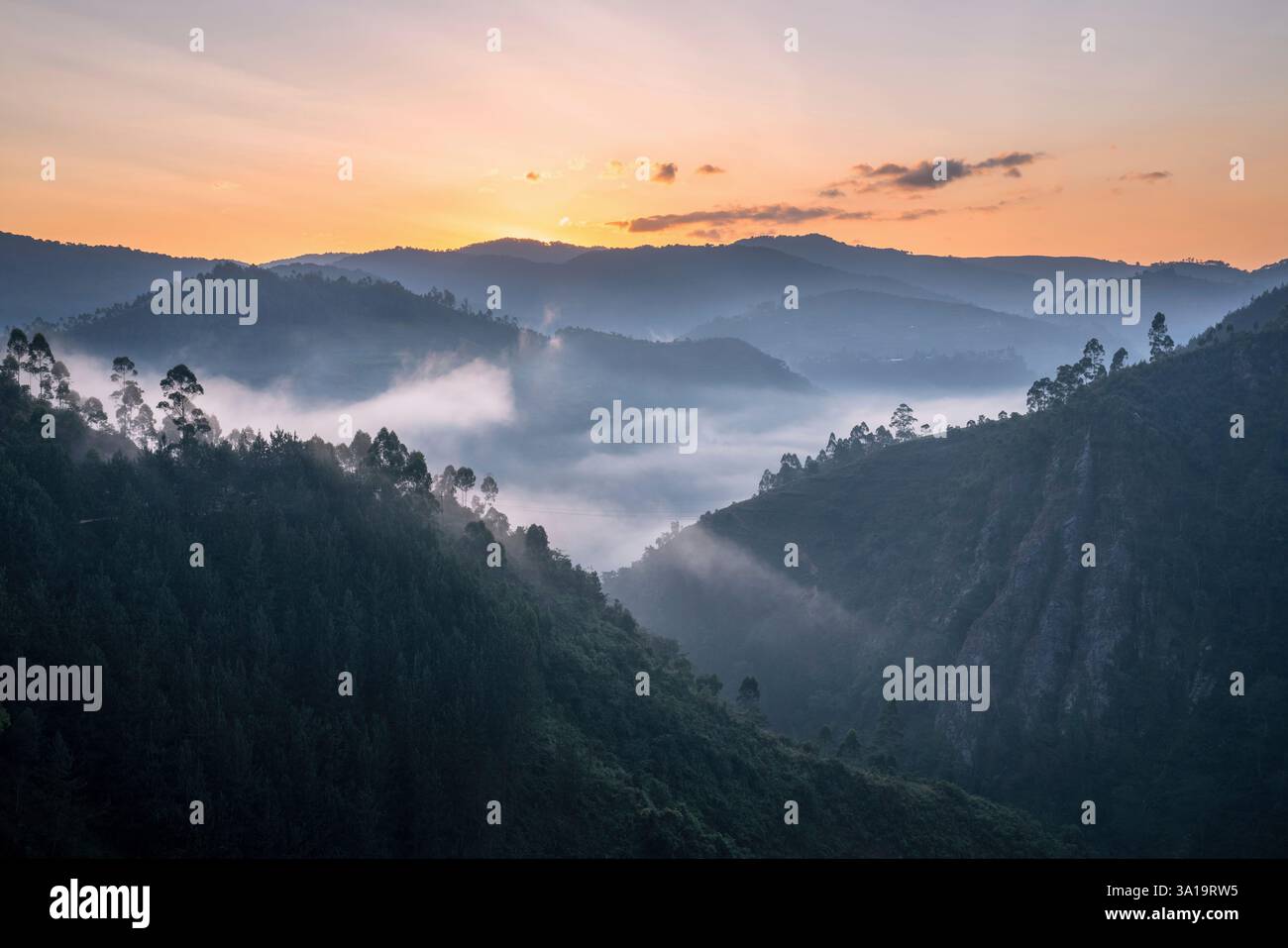 Immagine panoramica del Parco Nazionale di Bwindi con umore al mattino presto, Uganda Foto Stock