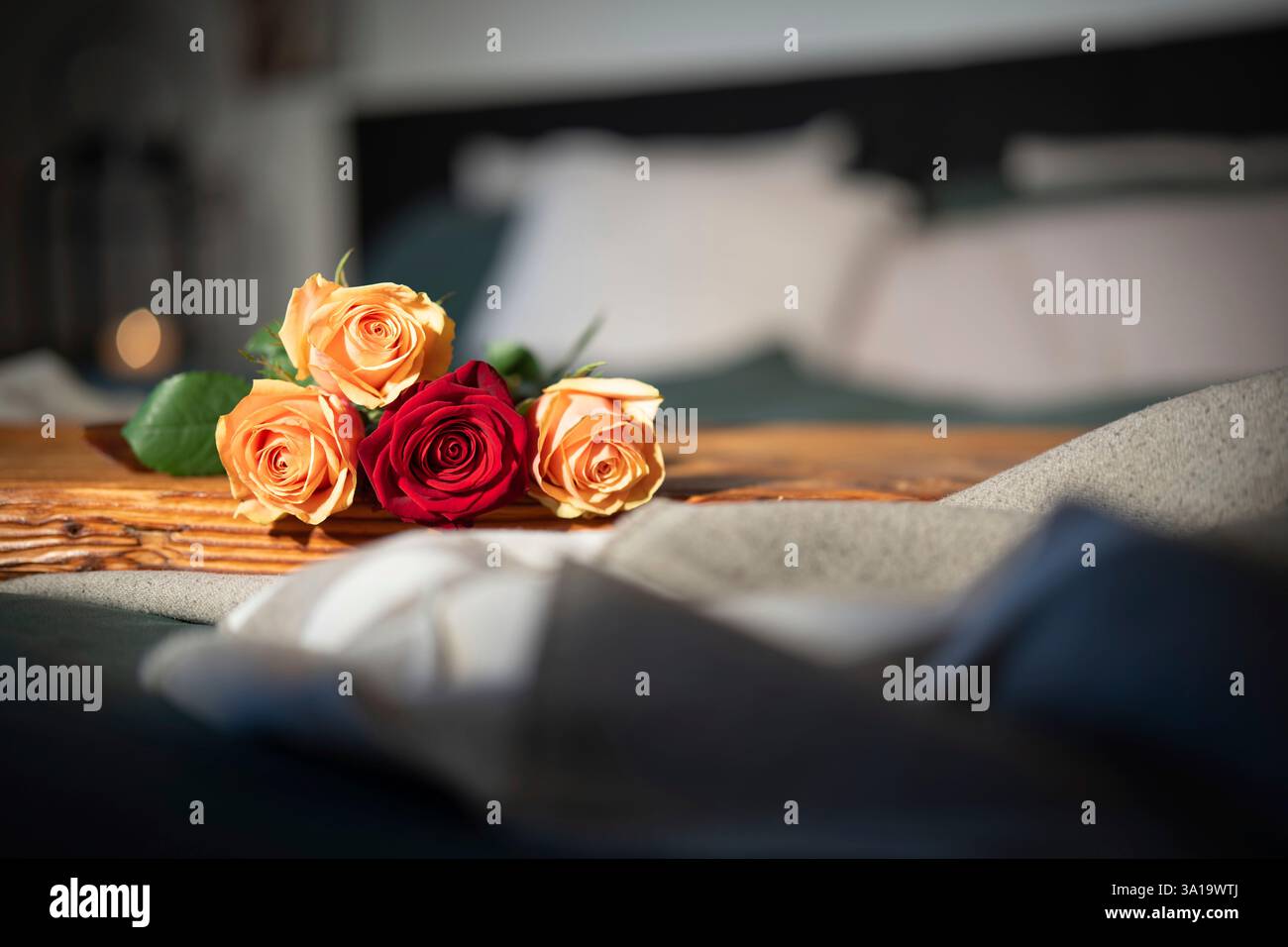 Rose a letto per un appuntamento romantico. Sfondo per san valentino e la festa della mamma. Foto Stock