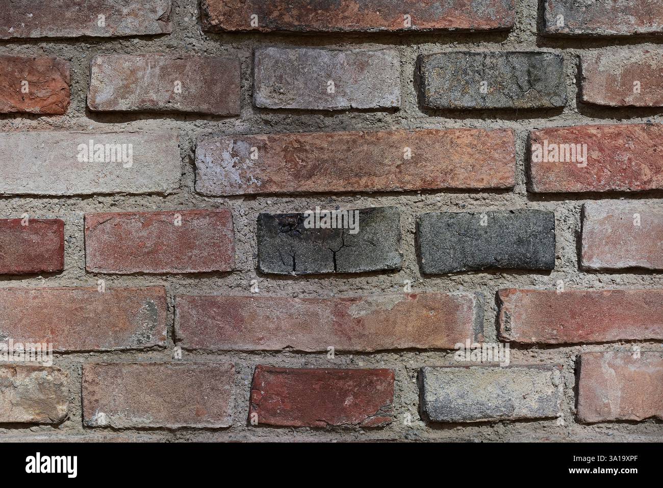 Muro di mattoni in dettaglio Foto Stock