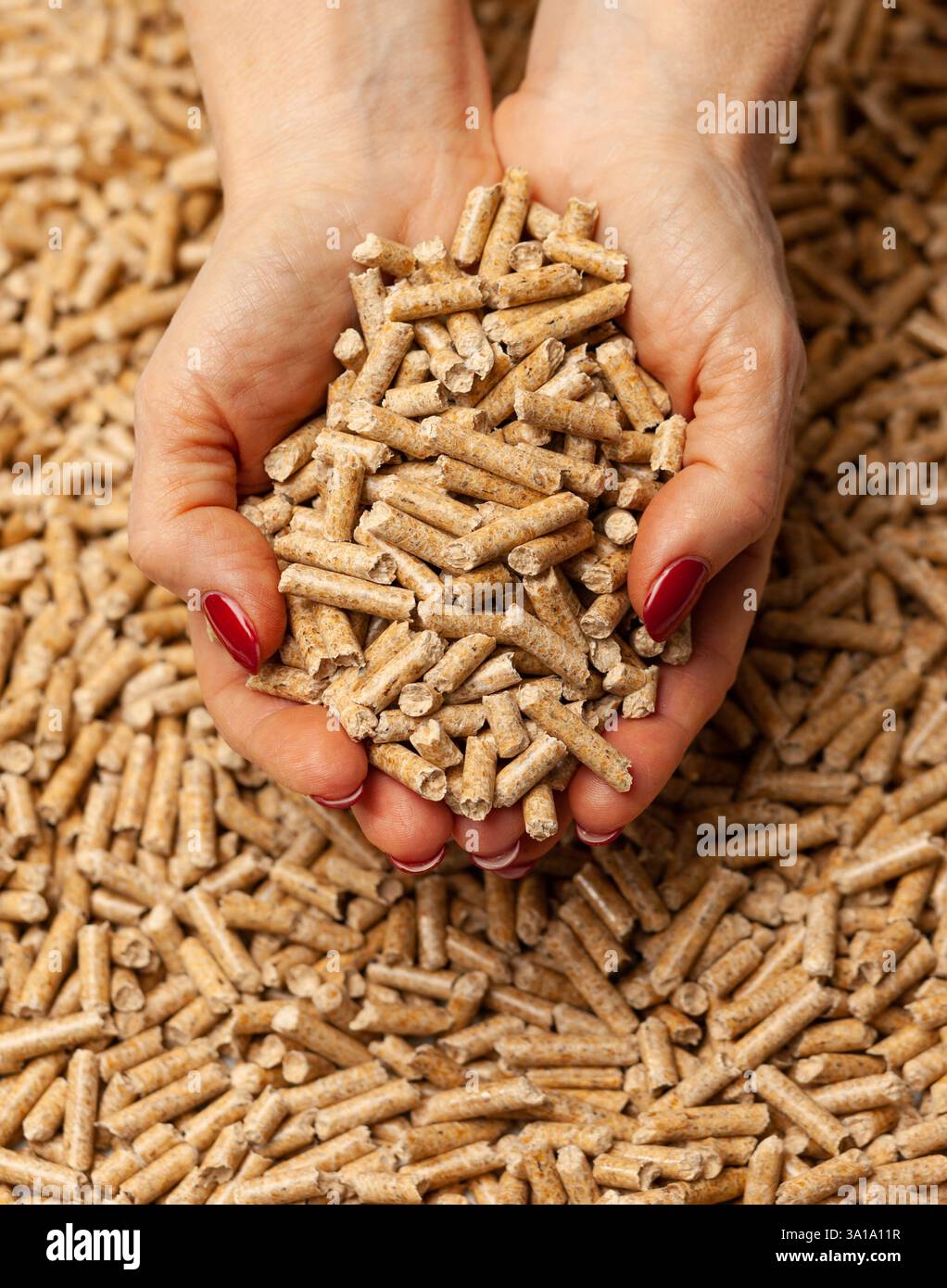 Biocarburanti alternativi da segatura pellet di legno in mani. Foto Stock