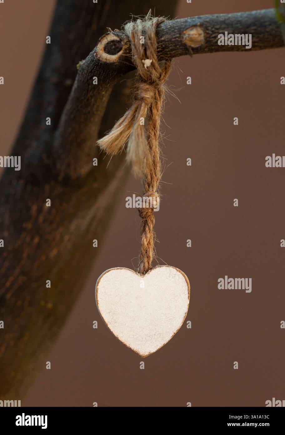 Cuore di legno appeso nel giardino di un ramo di un albero. Foto Stock