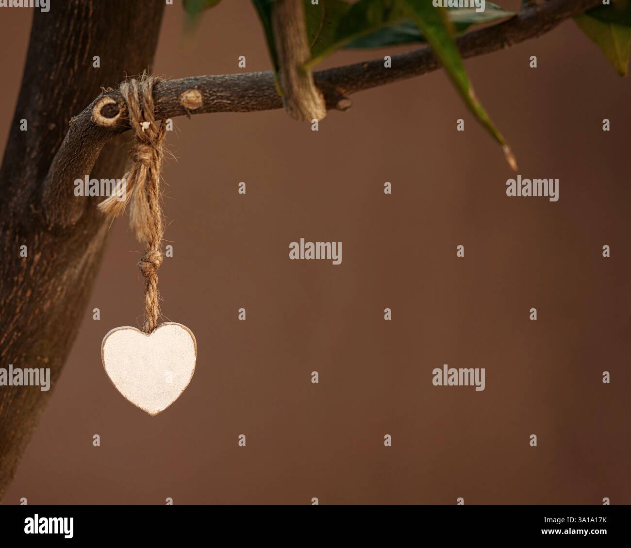 Cuore di legno appeso nel giardino di un ramo di un albero. Foto Stock