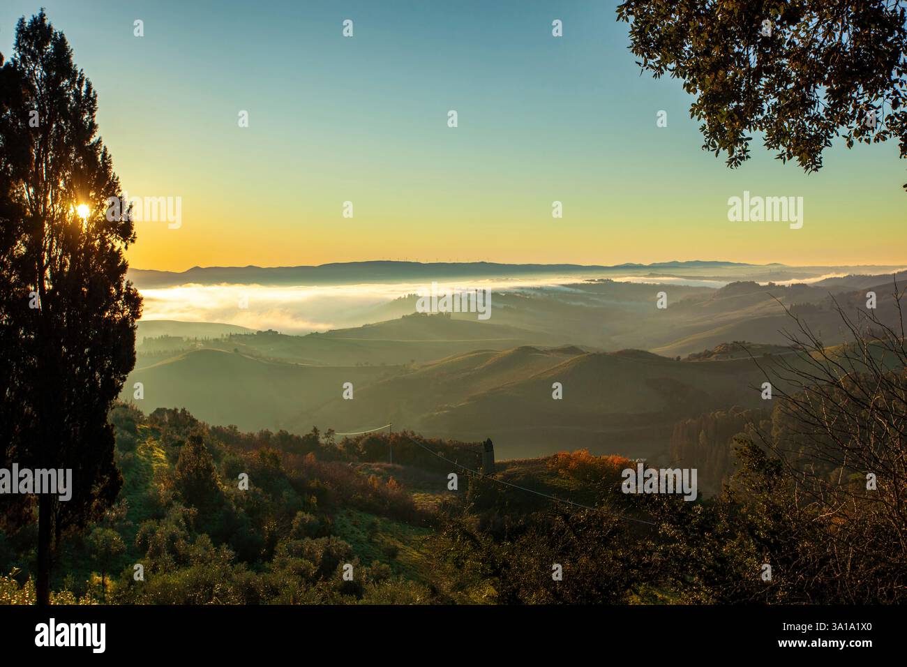 Alba panoramica sulle dolci colline della toscana con nebbia mattutina e sole che splendono tra gli alberi Foto Stock