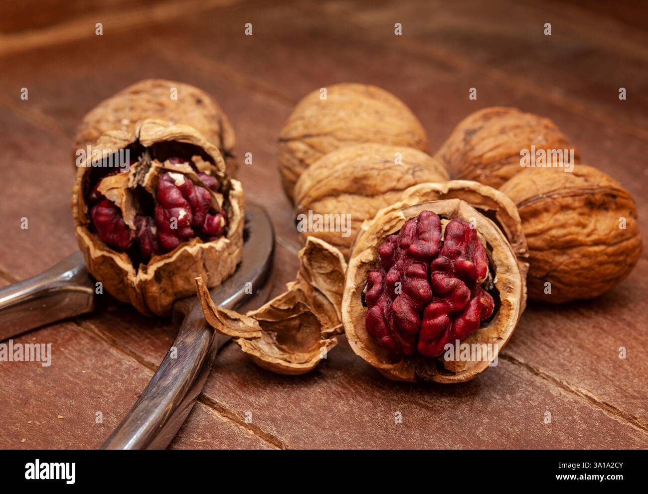 Noci rosse del Danubio con nutcracker argentato su sfondo in legno. Ha avuto origine da una croce tra alberi di noce inglesi e persiani. Foto Stock