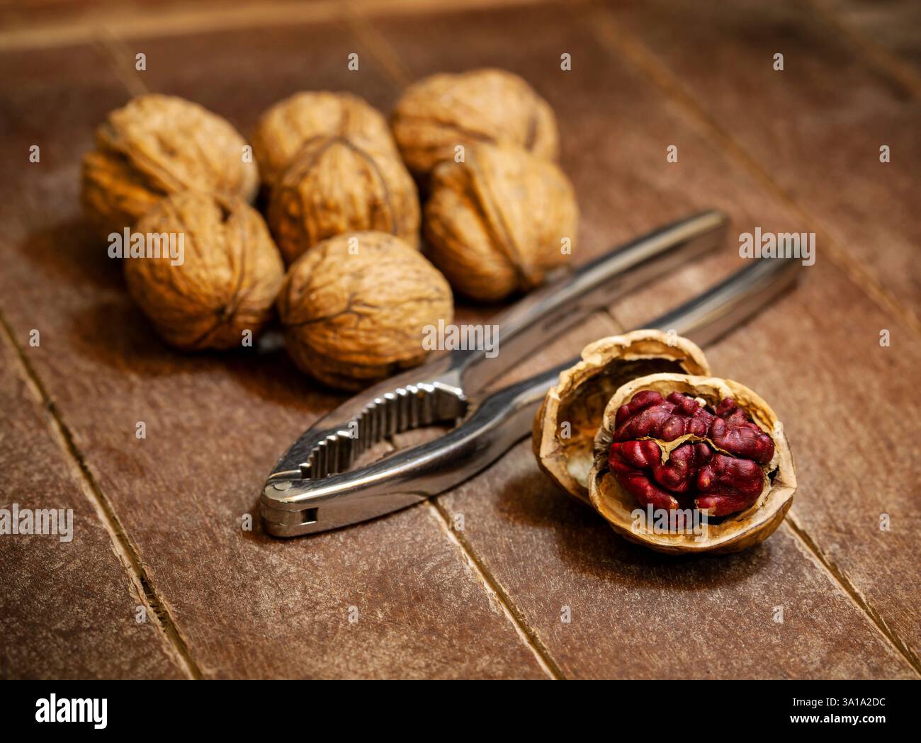Noci rosse del Danubio con nutcracker argentato su sfondo in legno. Ha avuto origine da una croce tra alberi di noce inglesi e persiani. Foto Stock
