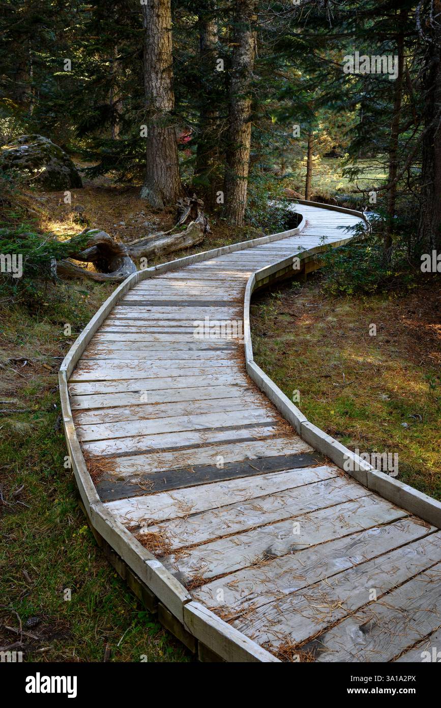Pianura di Aigüestortes, in autunno (Parco Nazionale di Aigüestortes e Estany de Sant Maurici, Pirenei, Catalogna, Spagna) ESP: Planell d'Aigüestortes en Otoño Foto Stock