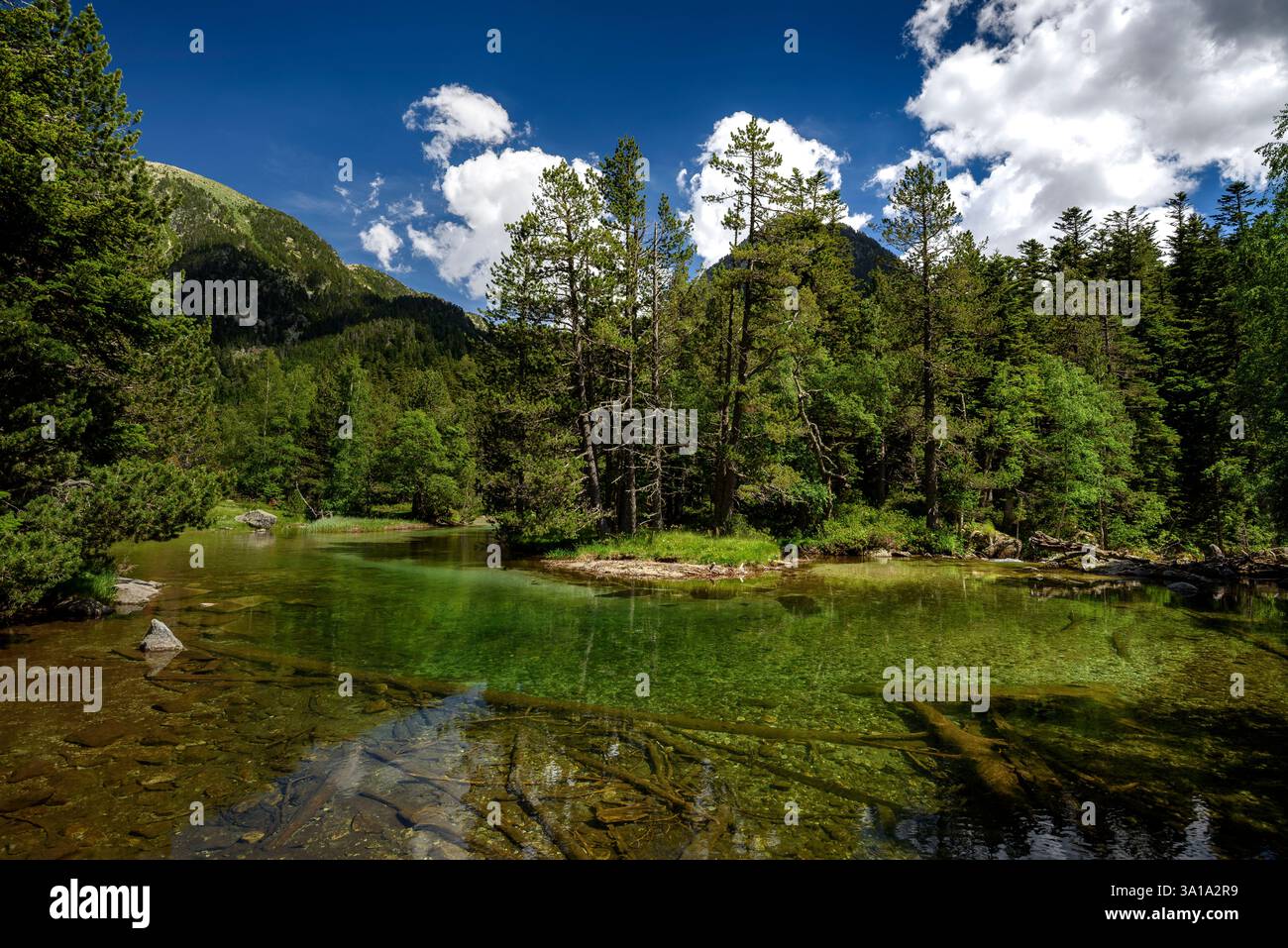 Pianura di Aigüestortes, in estate (Parco Nazionale di Aigüestortes e Estany de Sant Maurici, Pirenei, Catalogna, Spagna) ESP: Planell d'Aigüestortes, Lérida Foto Stock