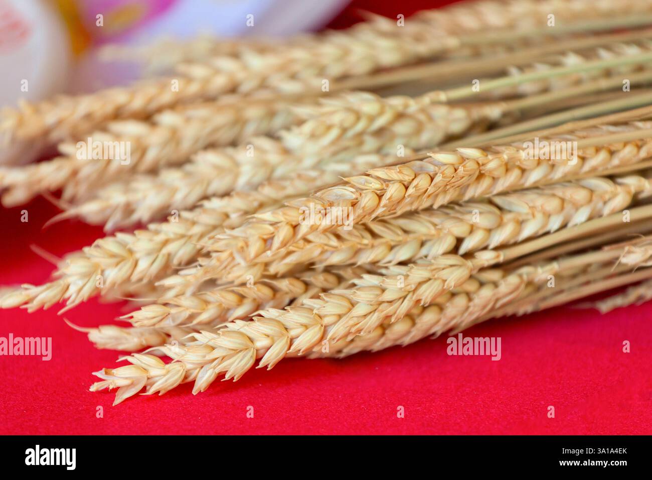 Orecchie di grano sul tavolo rosso Foto Stock