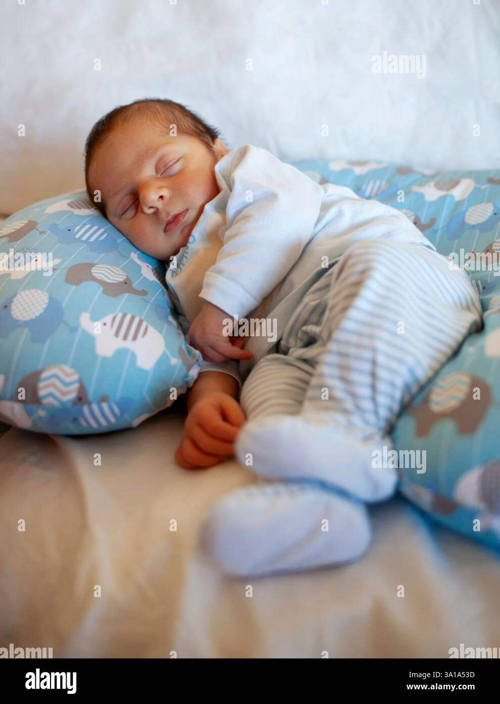 Un bambino di pochi giorni dorme su un cuscino rotondo. La fase del sonno è molto importante nell'infanzia. Foto Stock